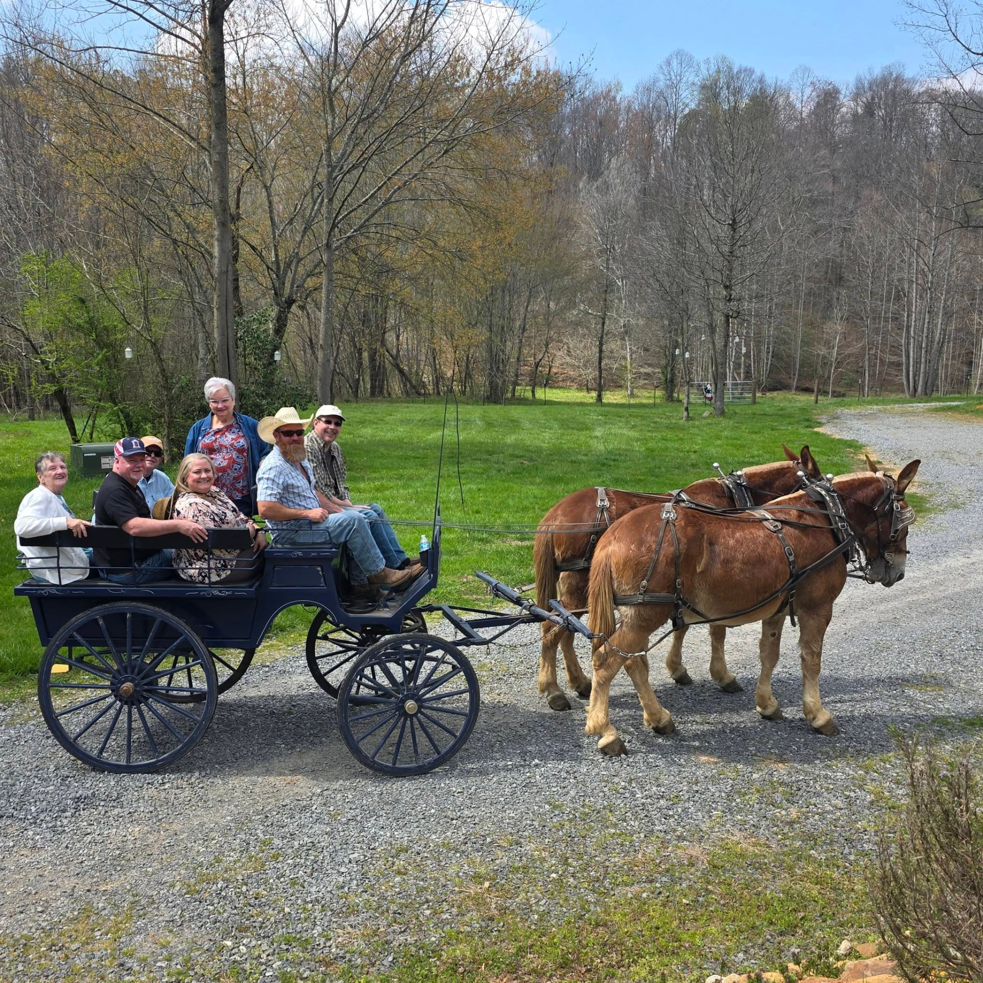 A group of guests riding together in the blue wagon behind the mule team