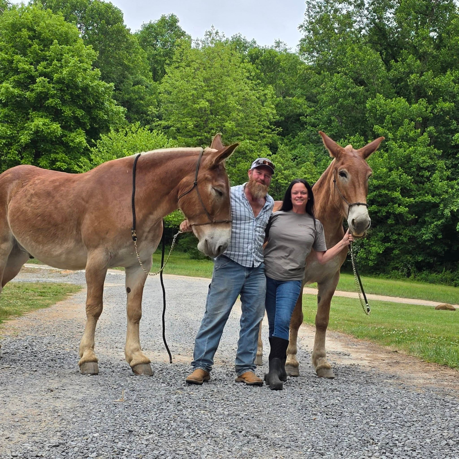 Jaime and Jason Morgan with their mule team