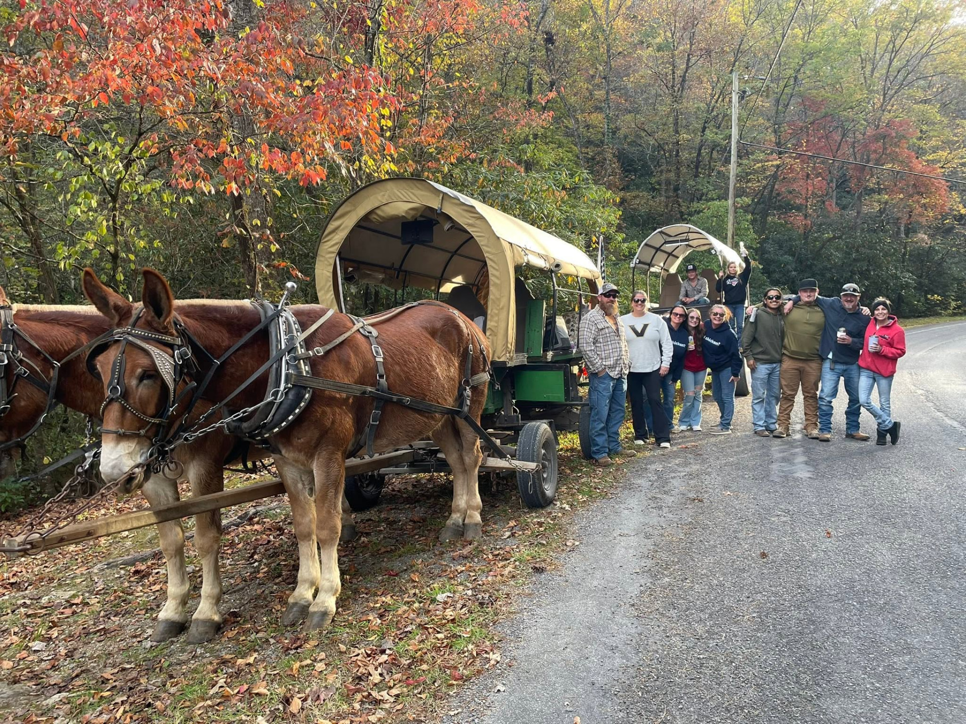 A large group of guests gathered beside two canopy wagons and the mule team on a fall mountain road